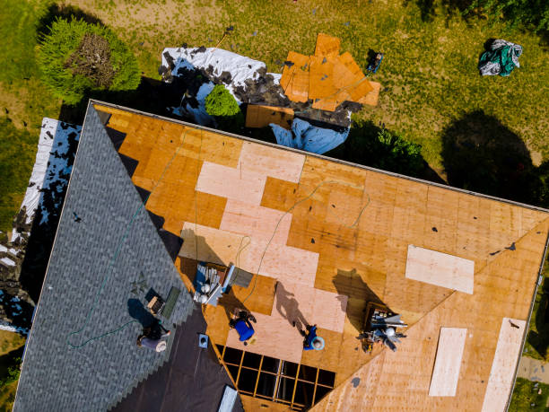 Best Roof Replacement Cost  in Dover, TN