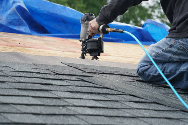 Best Roof Gutter Cleaning  in Dover, TN
