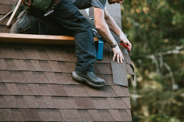 Roof Gutter Cleaning in Dover, TN